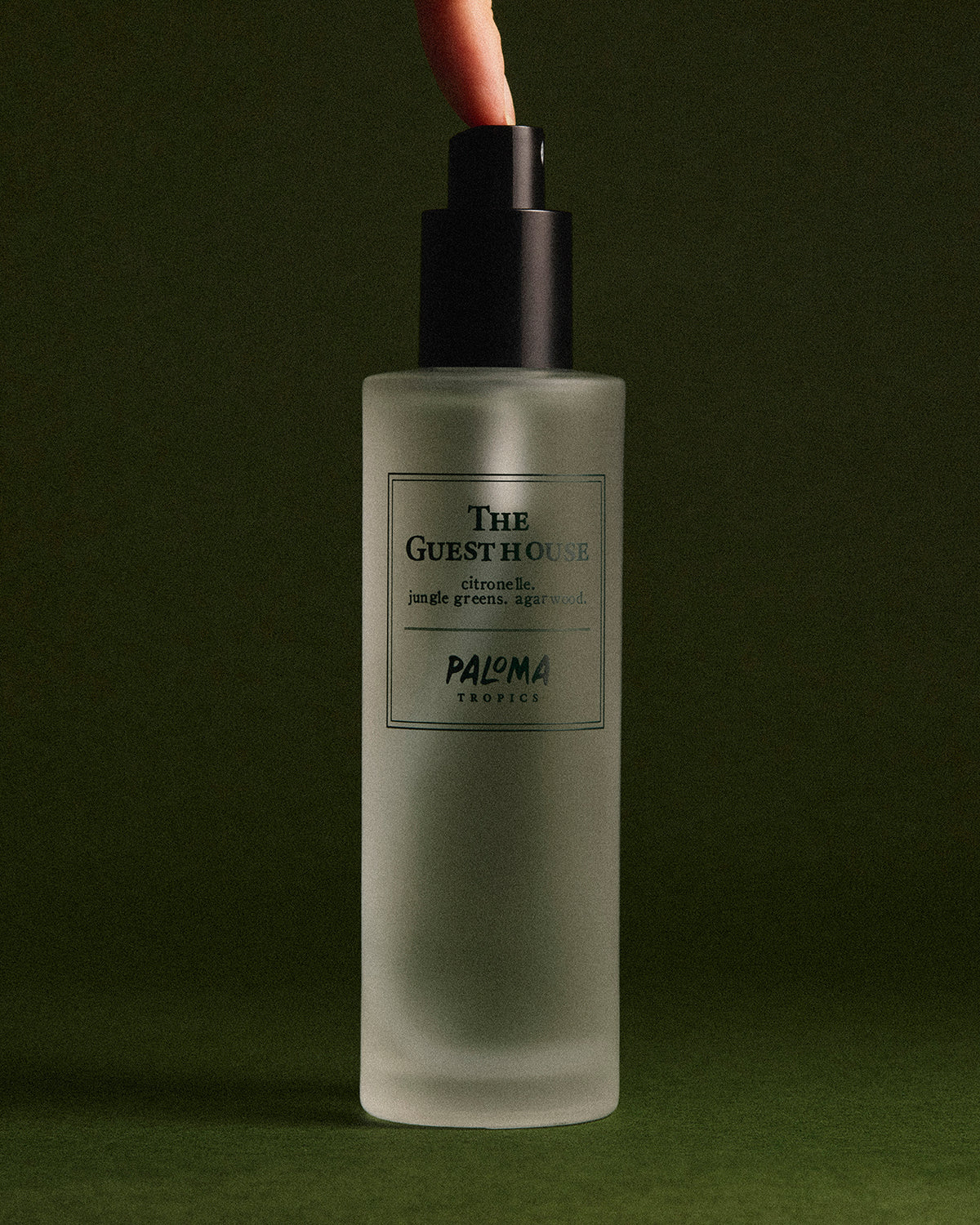 The Guesthouse Dwelling Spray